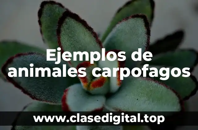 Ejemplos de animales carpofagos