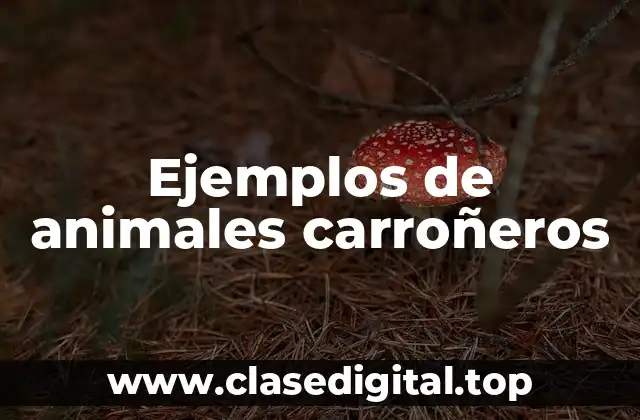 Ejemplos de animales carroñeros