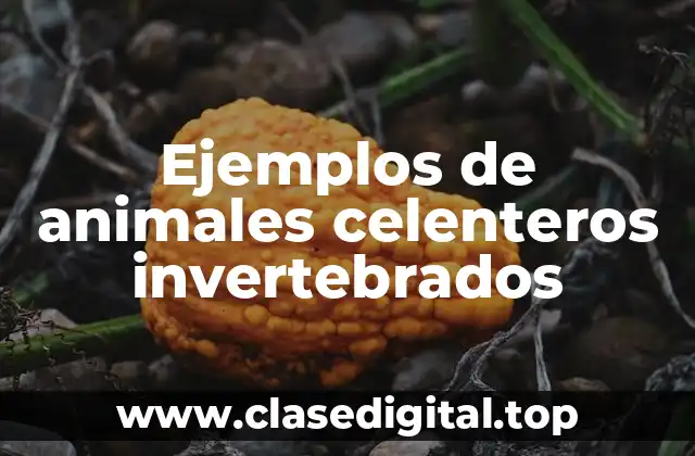Ejemplos de animales celenteros invertebrados