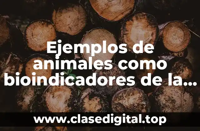 Ejemplos de animales como bioindicadores de la peninsula de Yucatan