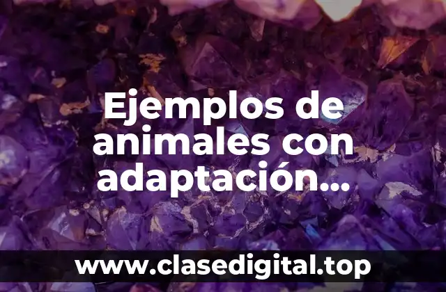 Ejemplos de animales con adaptación fisiológica armadillo