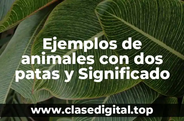 Ejemplos de animales con dos patas