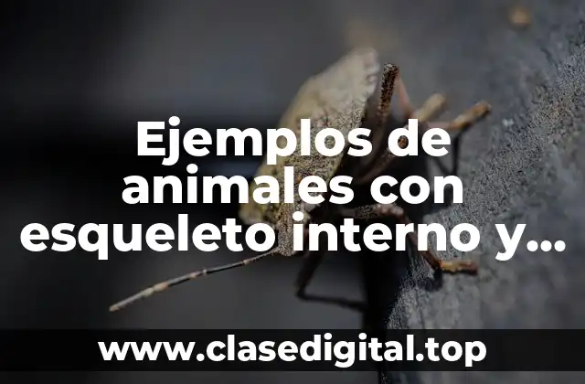 Ejemplos de animales con esqueleto interno y externo