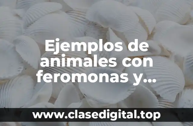 Ejemplos de animales con feromonas y Significado