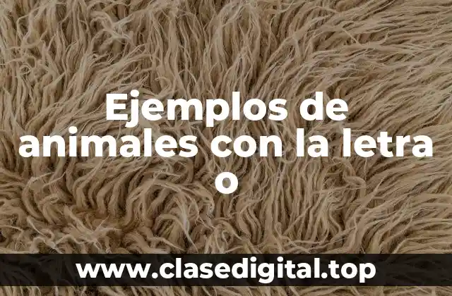 Ejemplos de animales con la letra o