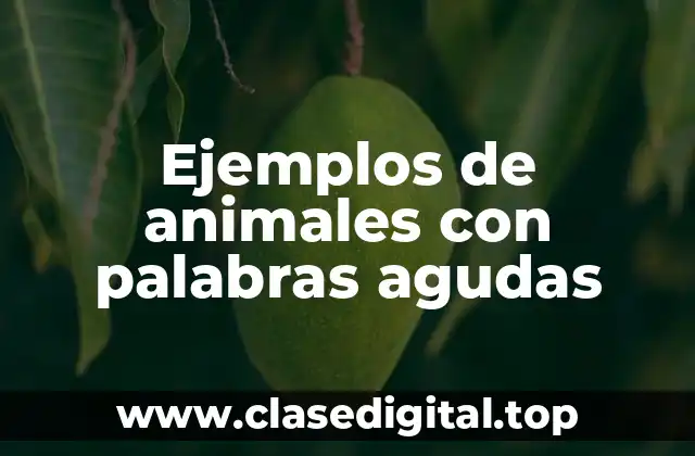 Ejemplos de animales con palabras agudas