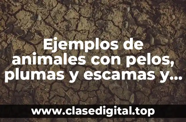 Ejemplos de animales con pelos, plumas y escamas y Significado