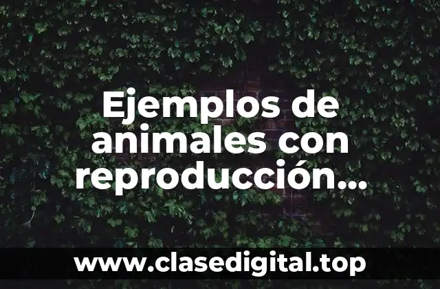 Ejemplos de animales con reproducción asexual