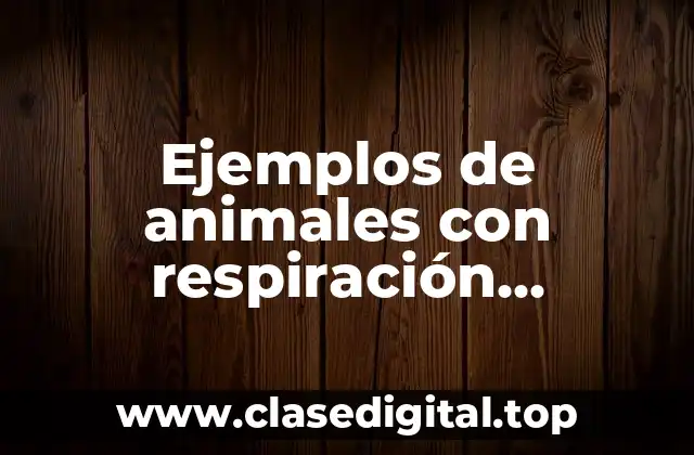 Ejemplos de animales con respiración branqueal y Significado