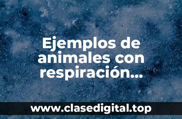 Ejemplos de animales con respiración branquial interna