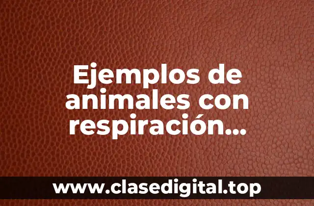 Ejemplos de animales con respiración branquial