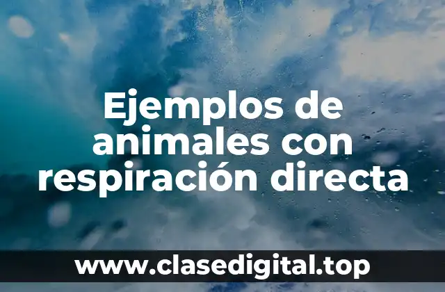 Ejemplos de animales con respiración directa