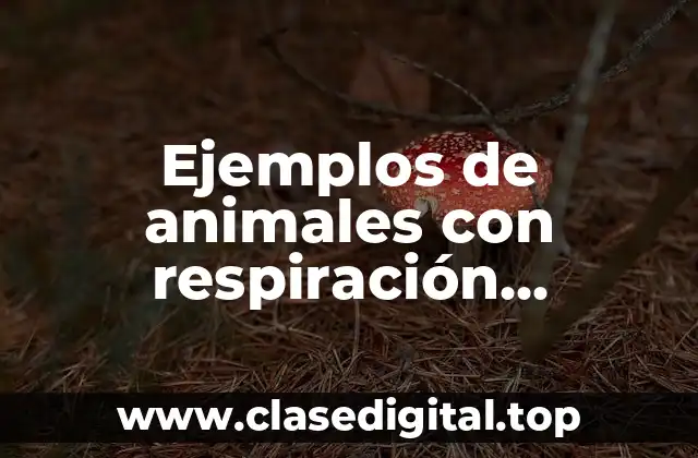 Ejemplos de animales con respiración pulmonar