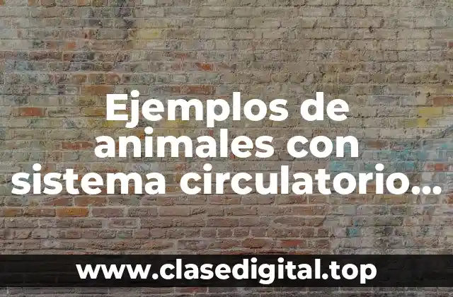 Ejemplos de animales con sistema circulatorio cerrado sencillo