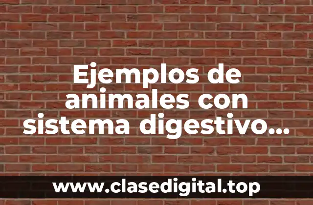 Ejemplos de animales con sistema digestivo completo