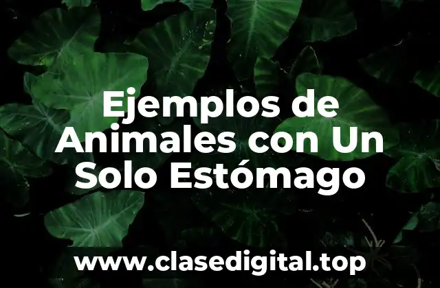 Ejemplos de Animales con Un Solo Estómago