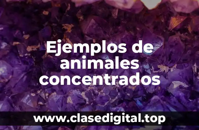 Ejemplos de animales concentrados