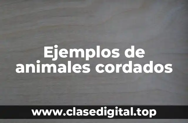 Ejemplos de animales cordados
