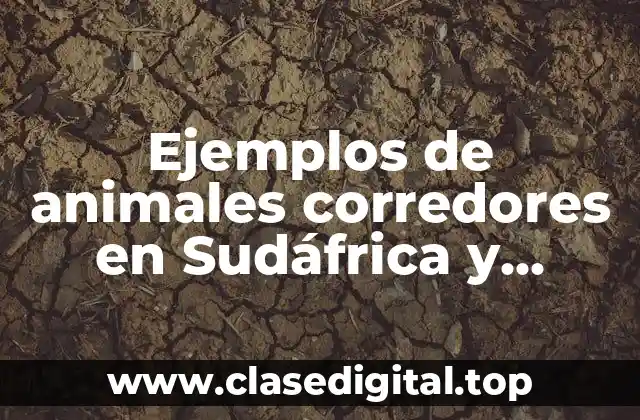 Ejemplos de animales corredores en Sudáfrica y Significado