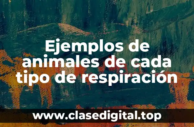 Ejemplos de animales de cada tipo de respiración