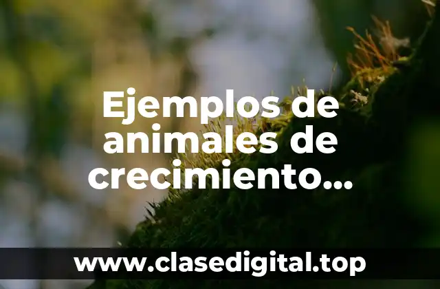 Ejemplos de animales de crecimiento agrupado