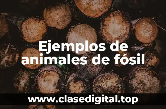 Ejemplos de animales de fósil