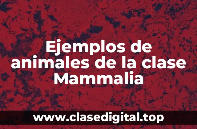 Ejemplos de animales de la clase Mammalia
