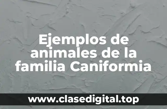 Ejemplos de animales de la familia Caniformia
