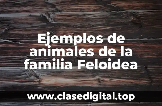 Ejemplos de animales de la familia Feloidea