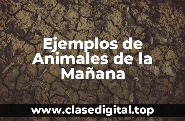 Ejemplos de Animales de la Mañana
