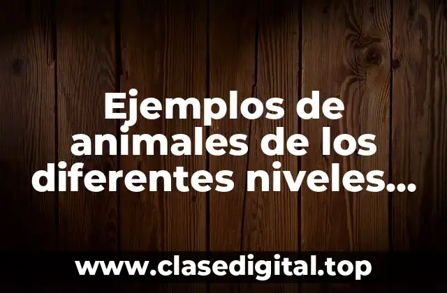 Ejemplos de animales de los diferentes niveles tróficos