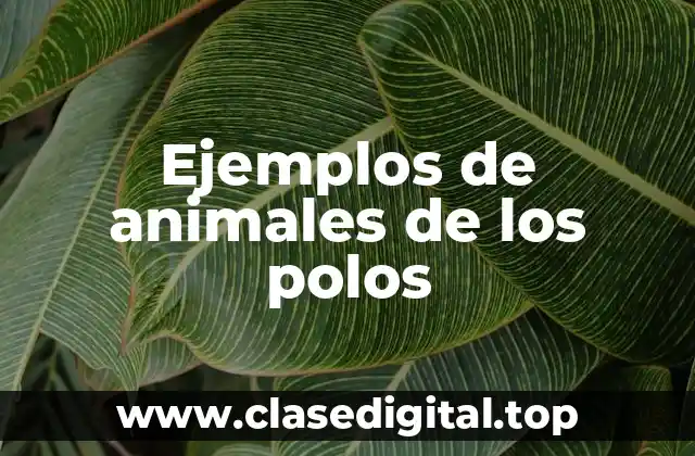 Ejemplos de animales de los polos