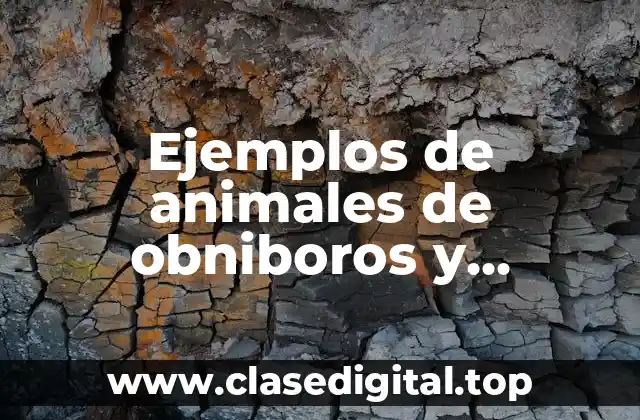 Ejemplos de animales de obniboros