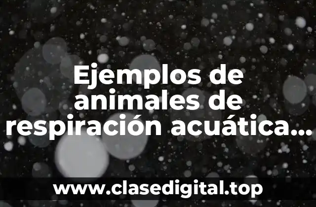 Ejemplos de animales de respiración acuática con respiración pulmonar