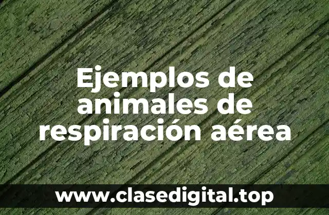Ejemplos de animales de respiración aérea