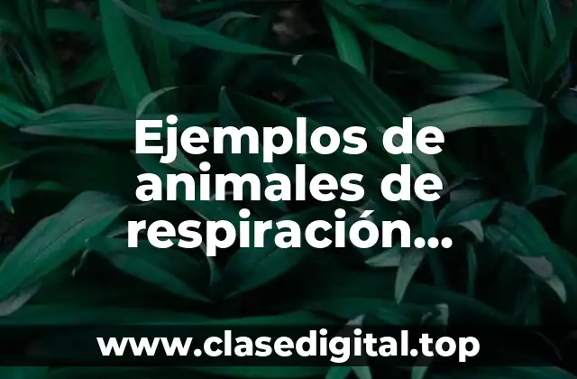 Ejemplos de animales de respiración branquial