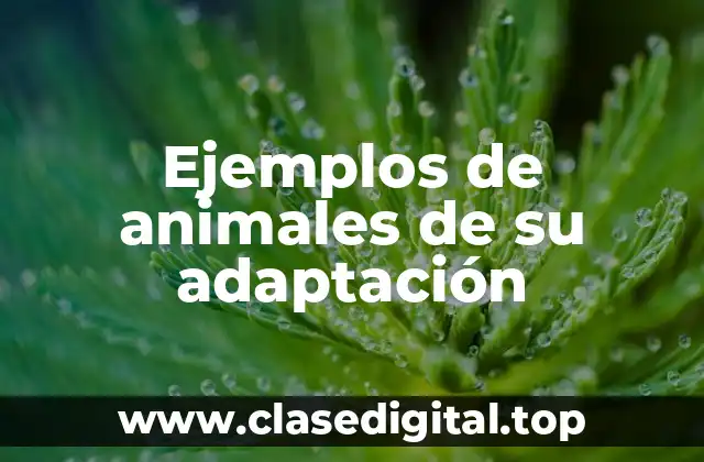 Ejemplos de animales de su adaptación