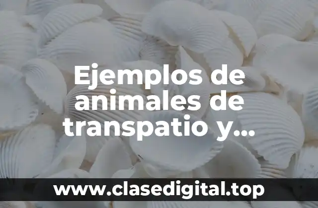 Ejemplos de animales de transpatio y Significado