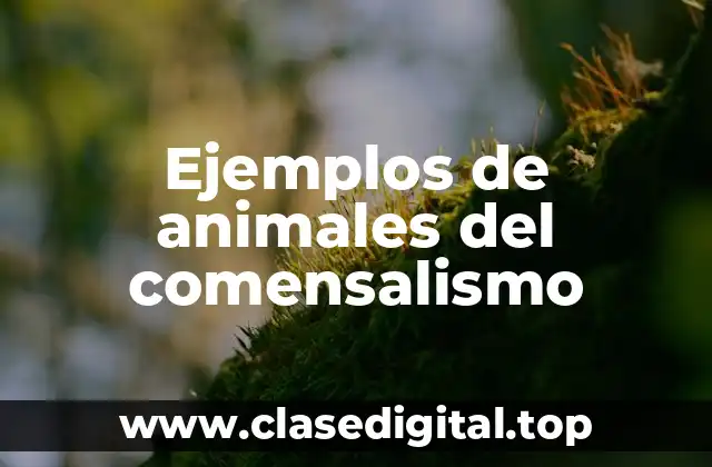 Ejemplos de animales del comensalismo