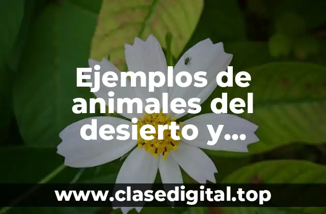 Ejemplos de animales del desierto y Significado
