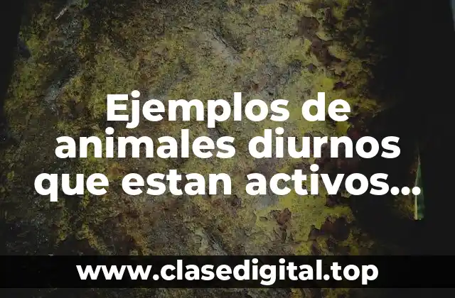 Ejemplos de animales diurnos