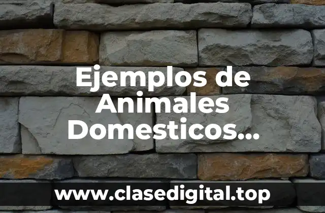 Ejemplos de Animales Domesticos Animados