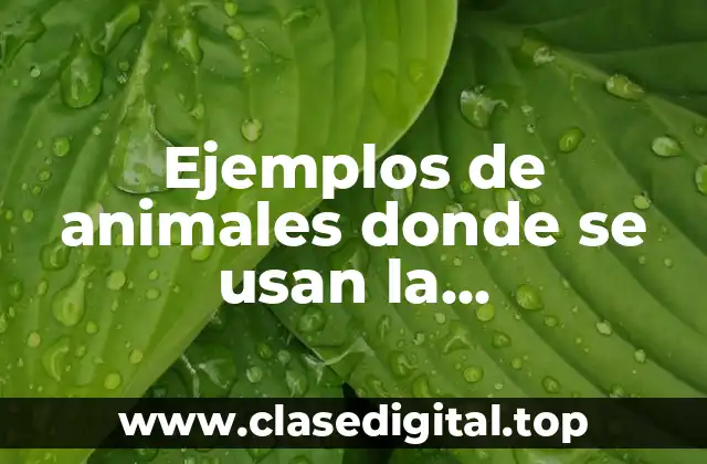 Ejemplos de animales donde se usan la biotecnología