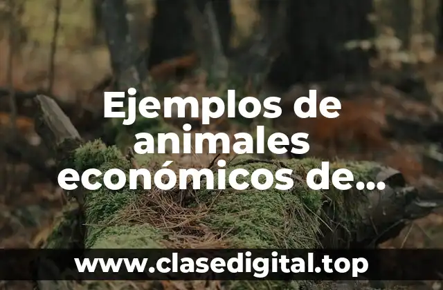 Ejemplos de animales económicos de México