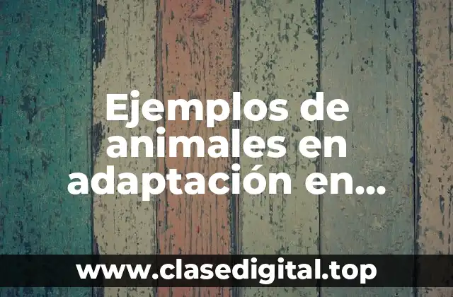 Ejemplos de animales en adaptación en climas o lugares