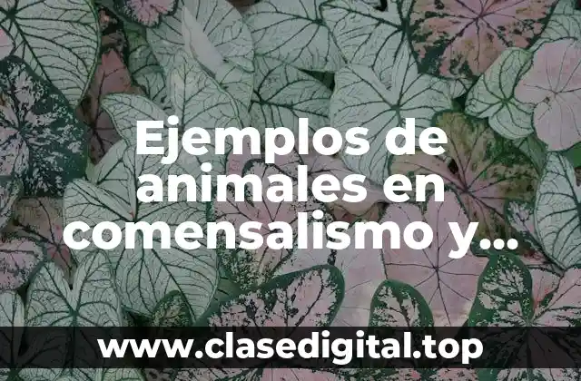 Ejemplos de animales en comensalismo y Significado