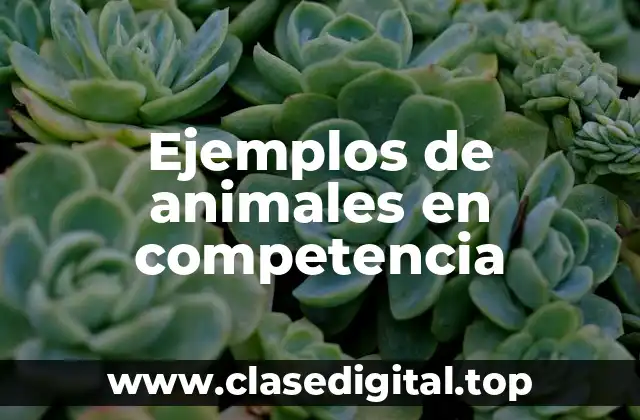 Ejemplos de animales en competencia