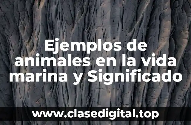 Ejemplos de animales en la vida marina