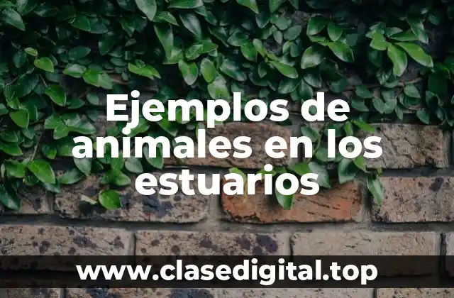 Ejemplos de animales en los estuarios
