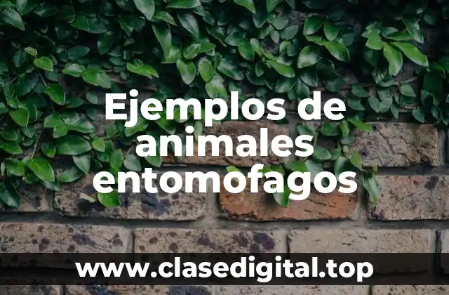 Ejemplos de animales entomofagos
